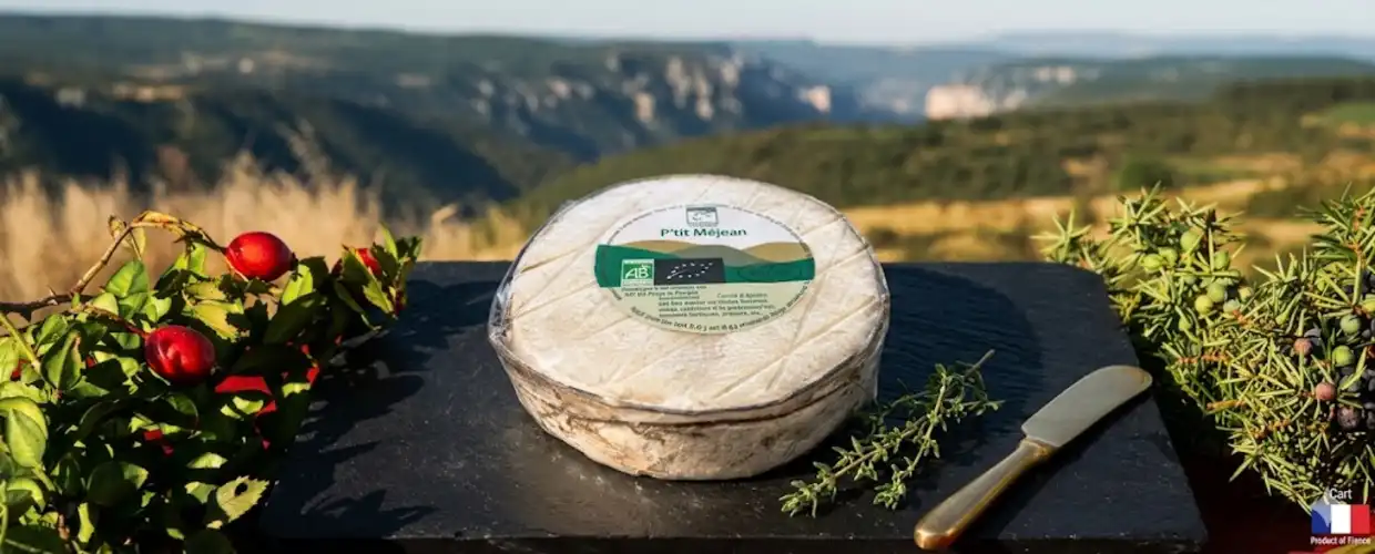 Le P'tit Méjean au lait de Brebis 250g LS